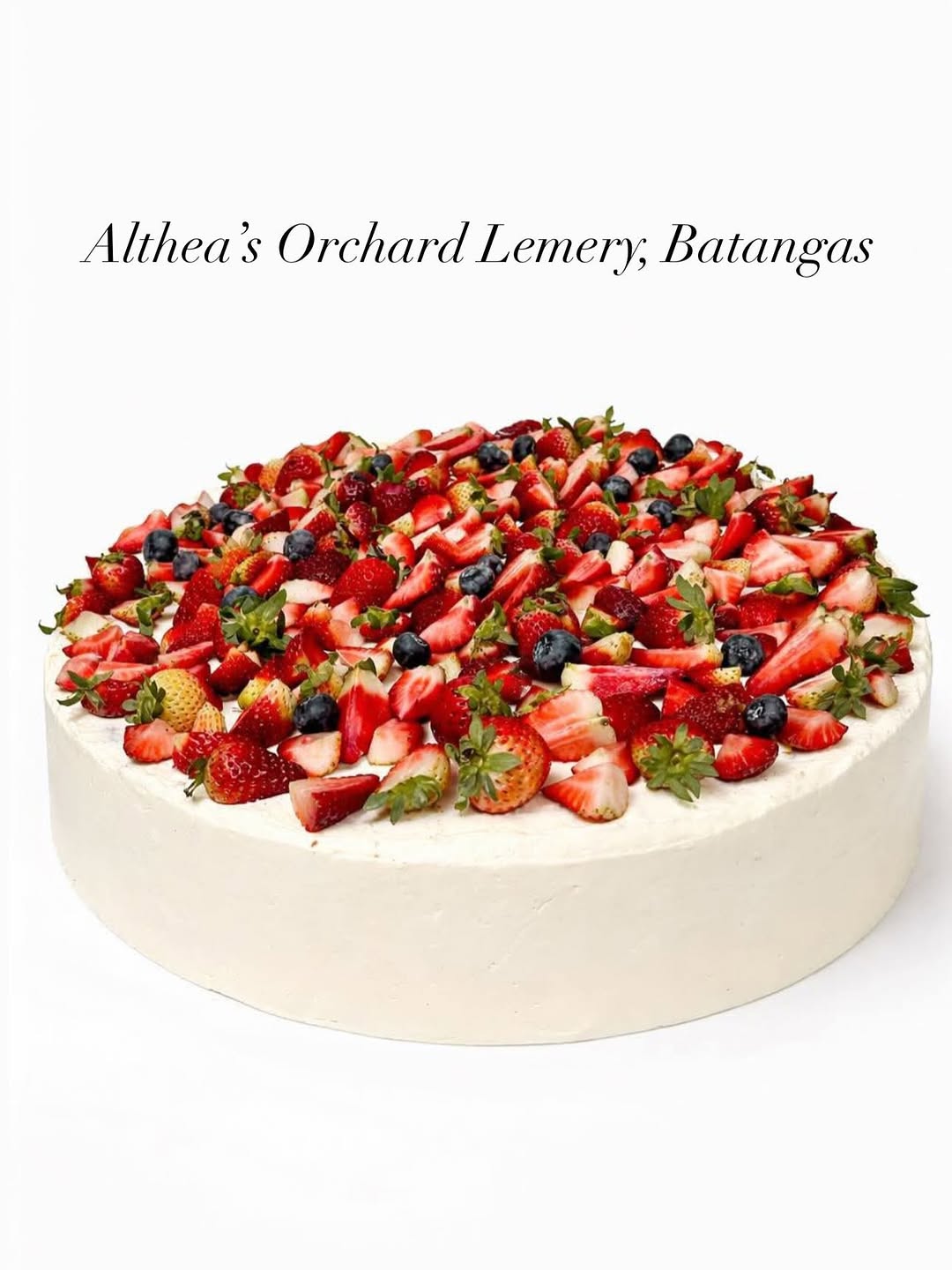 Fédici Mixed Berry Giant Cheesecake