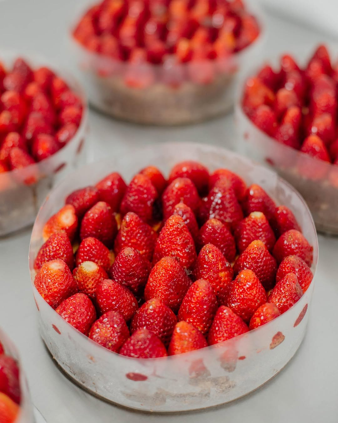 Fédici full strawberry cheesecake, beautifully plated
